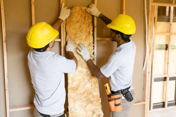 Best Insulation for New Construction  in Erlanger, KY